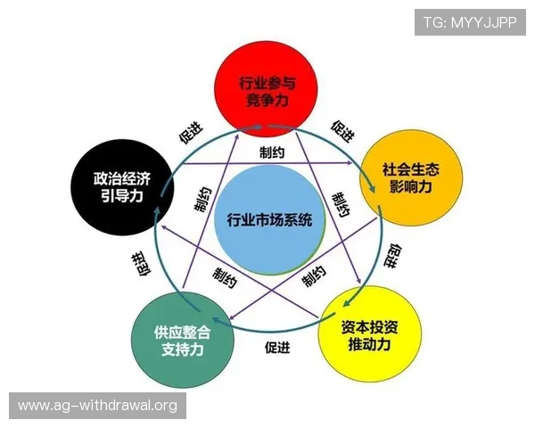深入解析K8视讯网在数字娱乐时代的创新策略与未来发展方向，助力行业持续繁荣